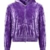 Balenciaga Sequin Velvet Hoodie -Italist Clothing Sale 3cd4d7bbffb7f4ccb82976c30d241653